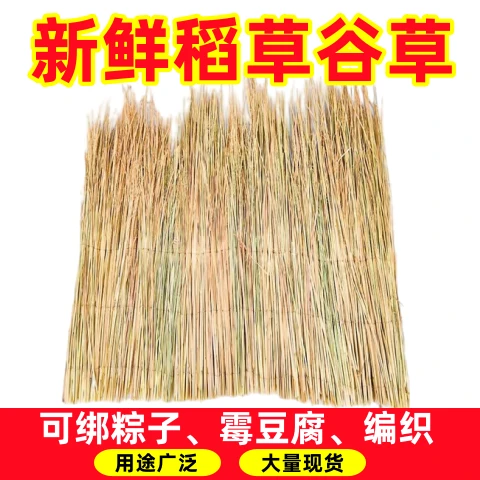 做霉豆腐的稻草谷草屋顶装饰遮阳稻草帘子扎粽子编织品天然干稻草