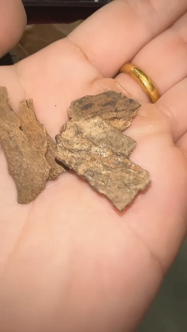 越南富森红土沉水树皮料1g装