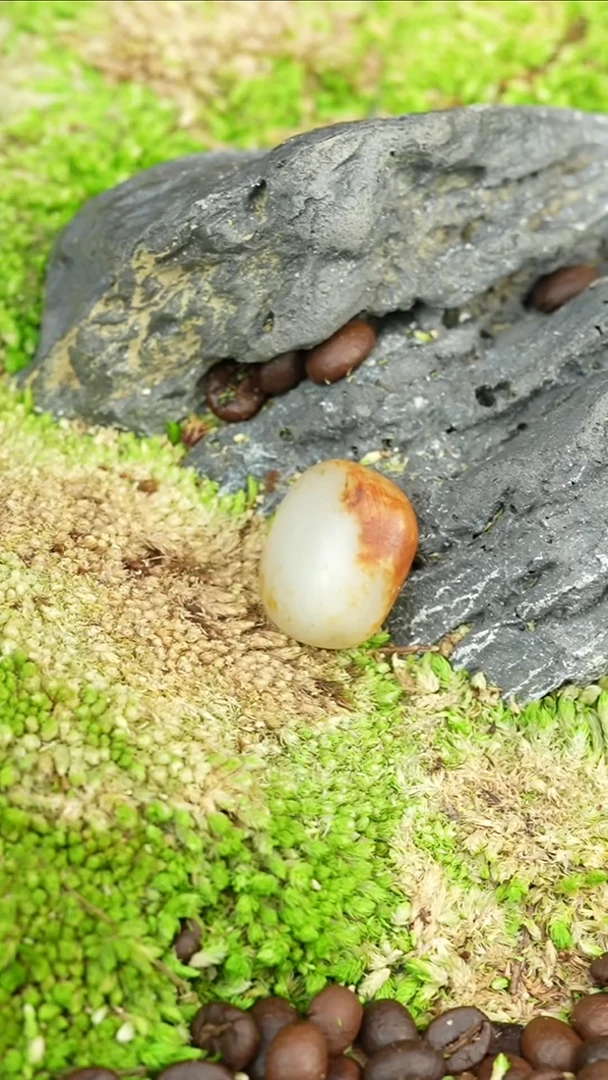 吊坠(不含链)未镶嵌和田玉9.6克和田玉原石