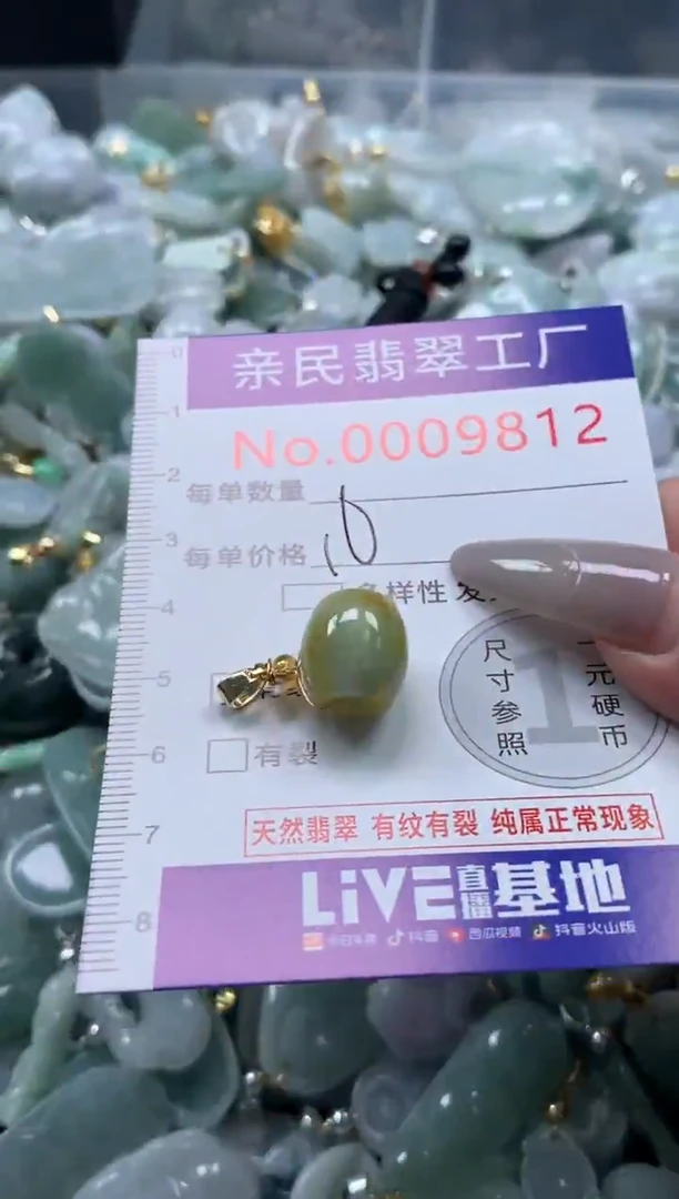 颈饰未镶嵌翡翠9812