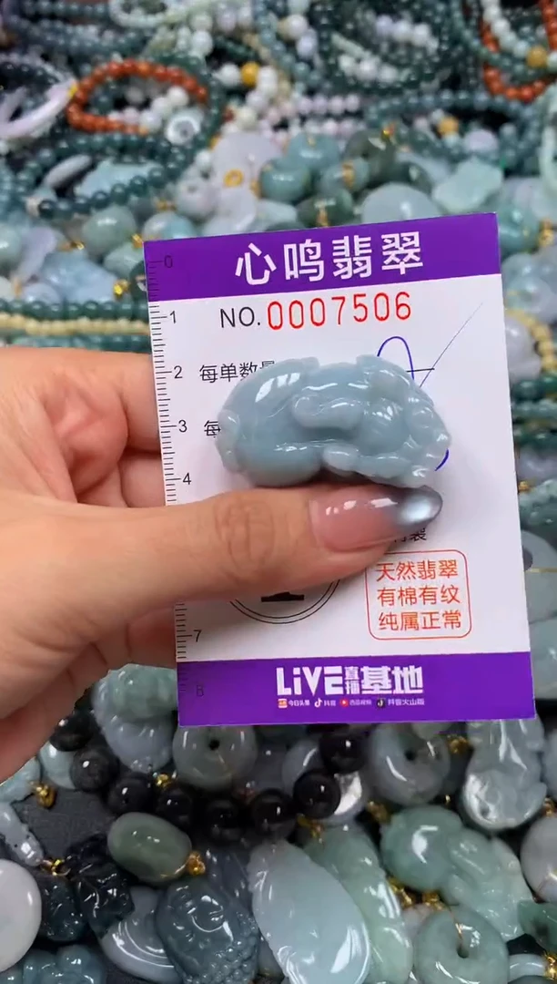 颈饰未镶嵌翡翠闪购007506