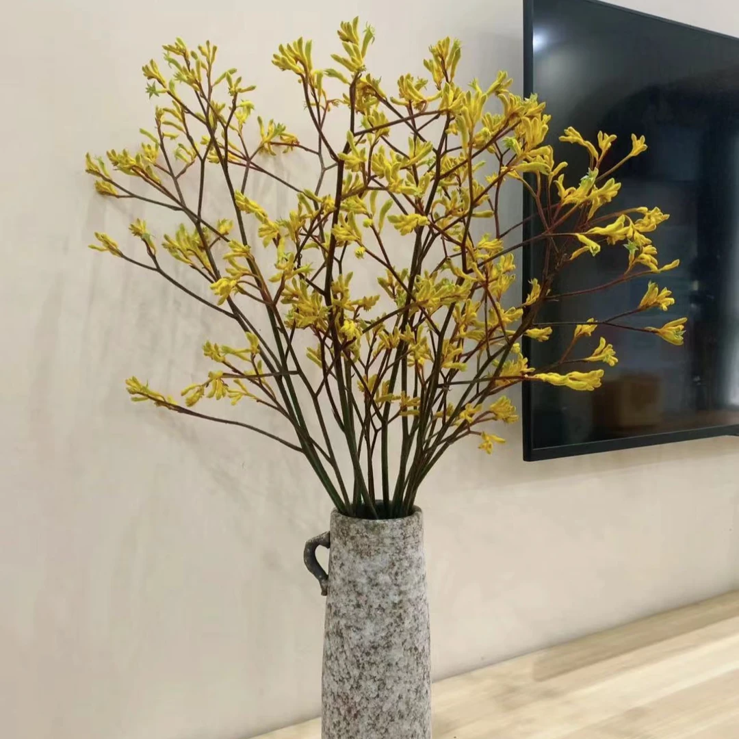 【澳洲袋鼠爪】鲜切小众可做干花幸运天然云南顺丰冷链包邮百合