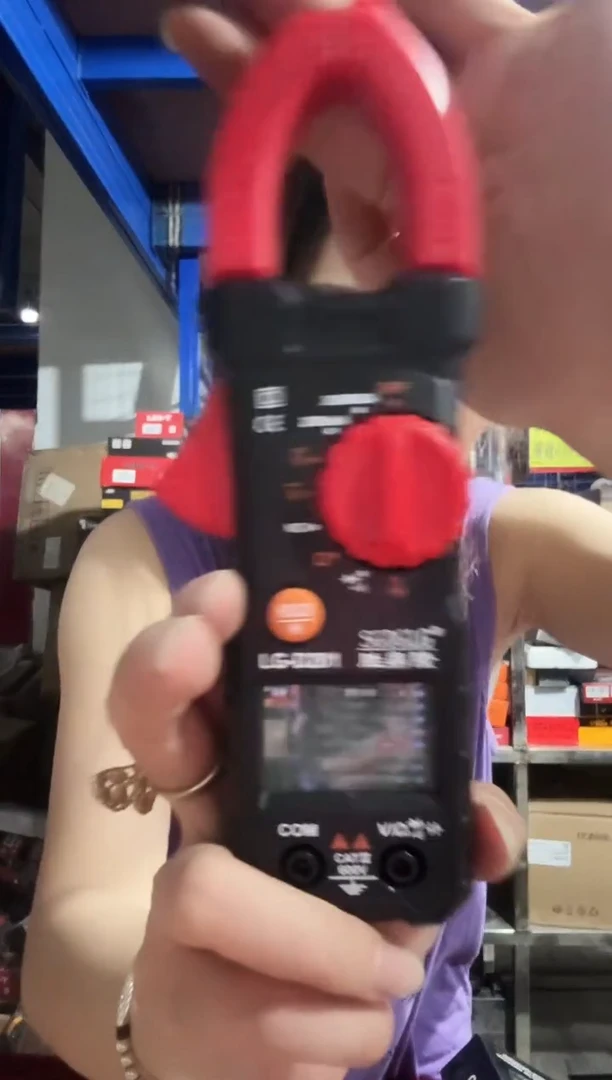 胜鼎隆LG-D201高精度数字钳形表