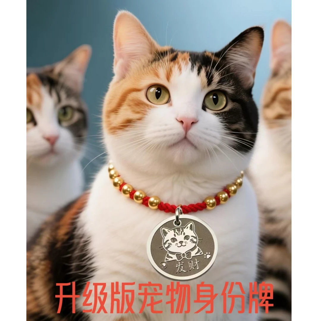 猫咪刻名字宠物牌项圈防丢身份牌创意自定义挂牌红绳子脖圈刻调节