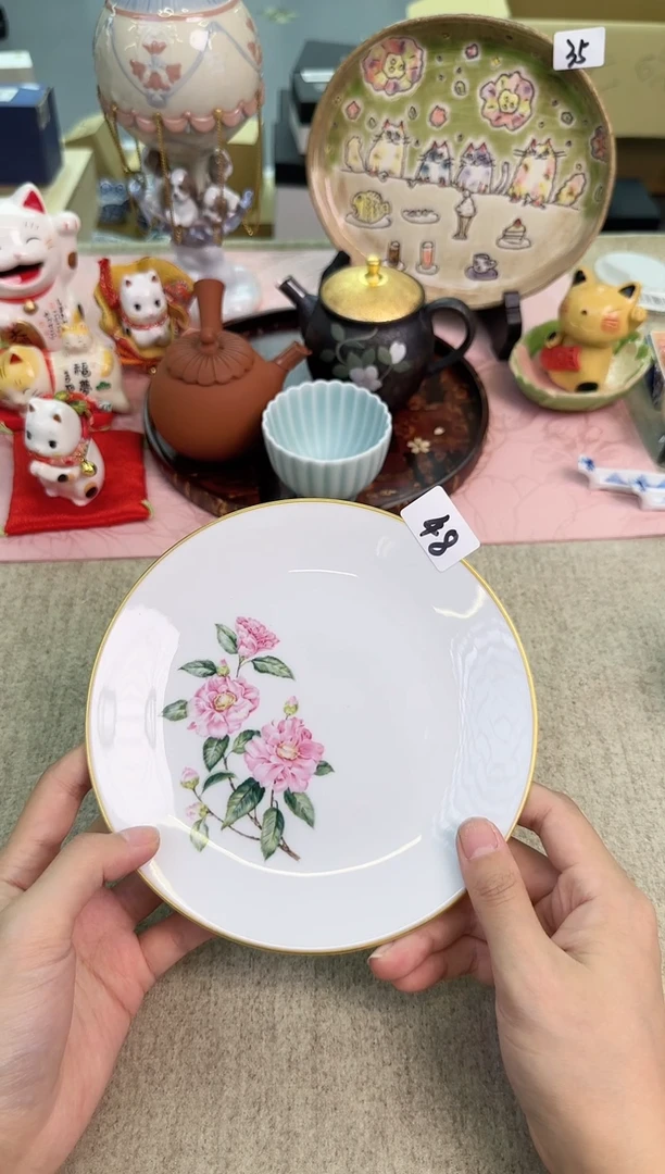 瓷片M****?辰辰的瓷器好看到爆