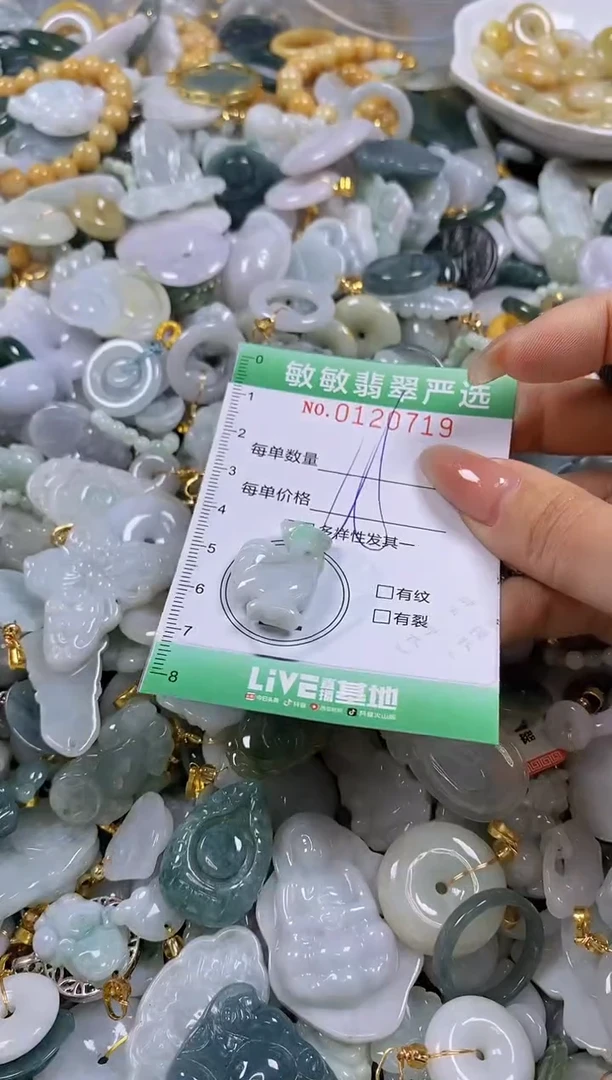 【闪购商品】翡翠颈饰未镶嵌闪购0120719