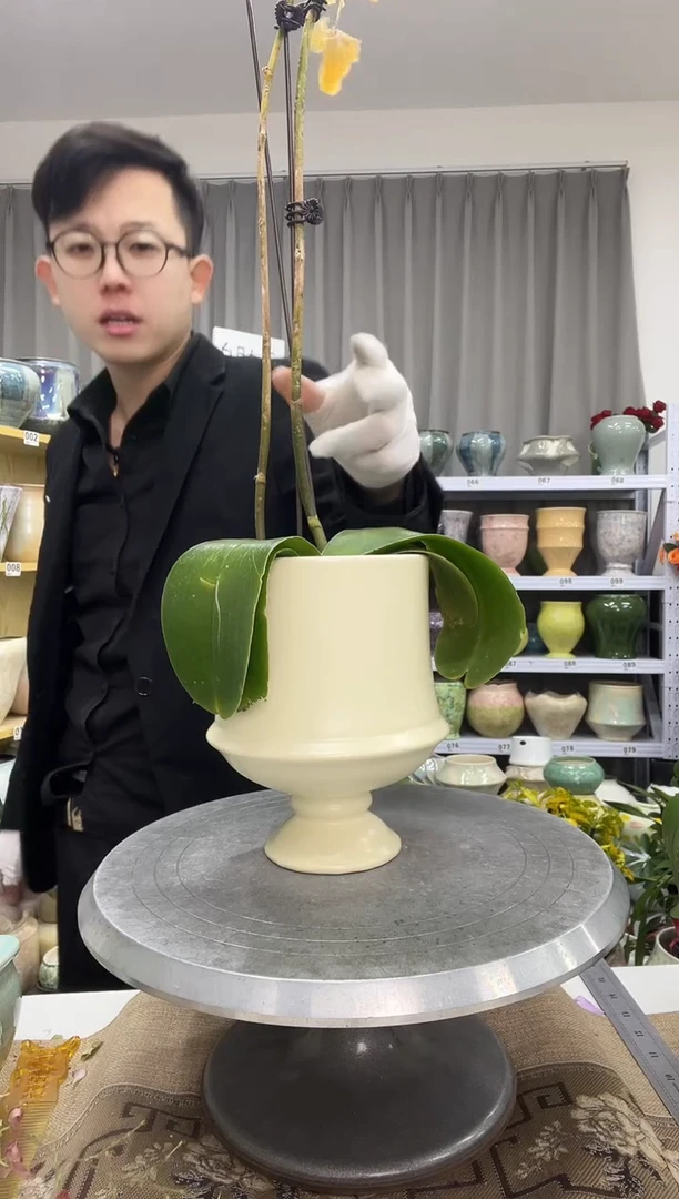 【1.4】花盆尺寸 高：17  口：11