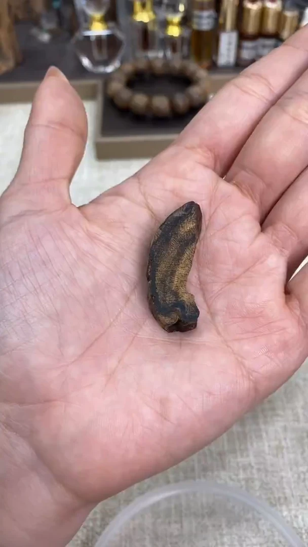 沉香沉香碎屑小***?【元旦福利】回流芽庄原材料