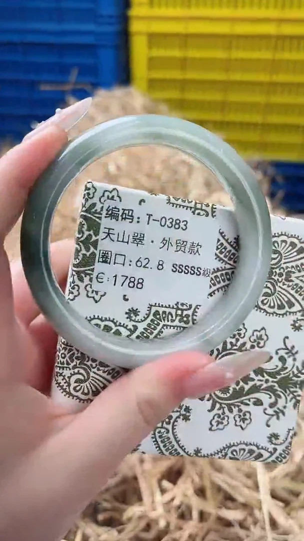 未镶嵌手镯石英质玉T-0383