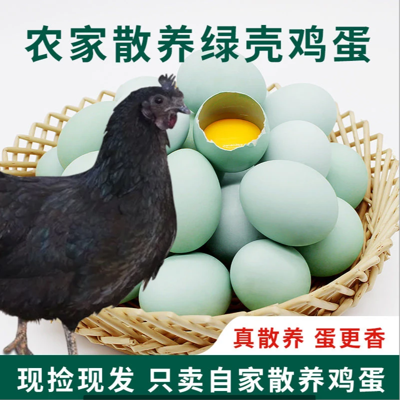 正宗农家放山散养乌鸡蛋农家散养土鸡蛋新鲜美味含栖更营养
