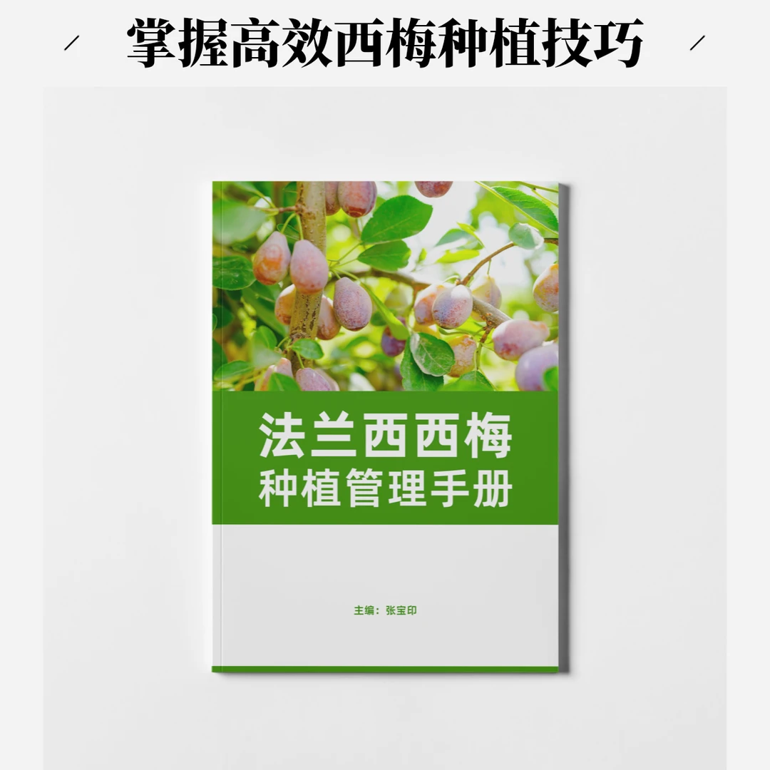 《法兰西西梅种植管理手册》：掌握小众高效种植法，开启西梅种植