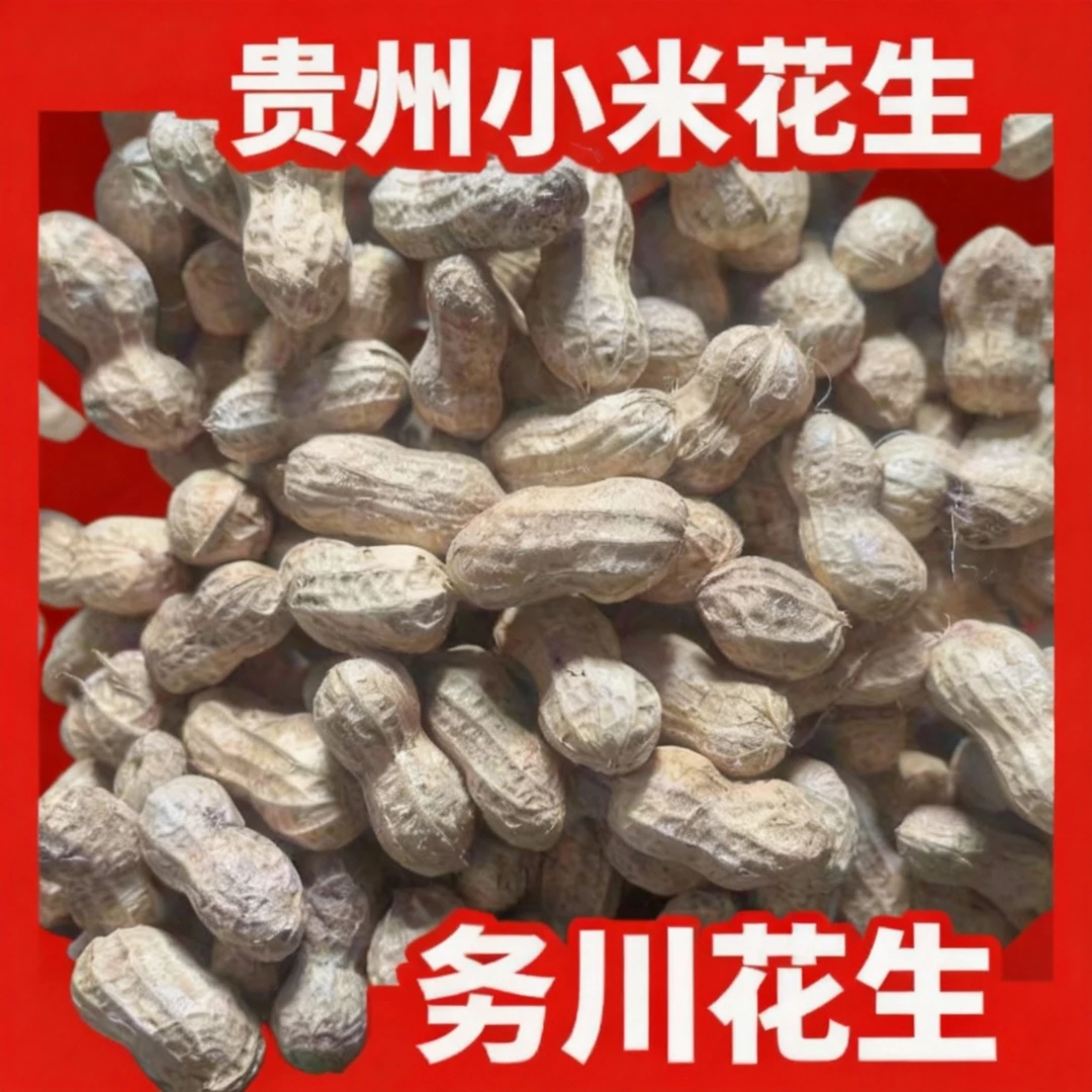 贵州出土山泉水洗干净自然晾晒的小米带壳干花生粉红花生带壳包邮