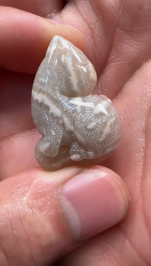 【闪购商品】硅化珊瑚（珊瑚玉）颈饰未镶嵌032