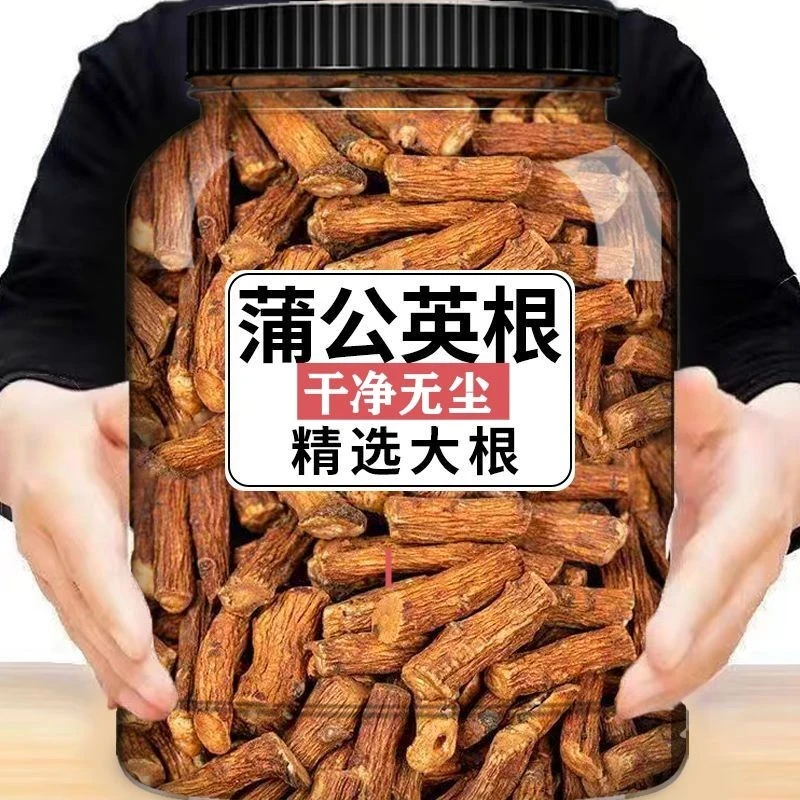 [野生新货]长白山蒲公英根新鲜干货炒熟蒲公英老根泡水煮水婆婆丁