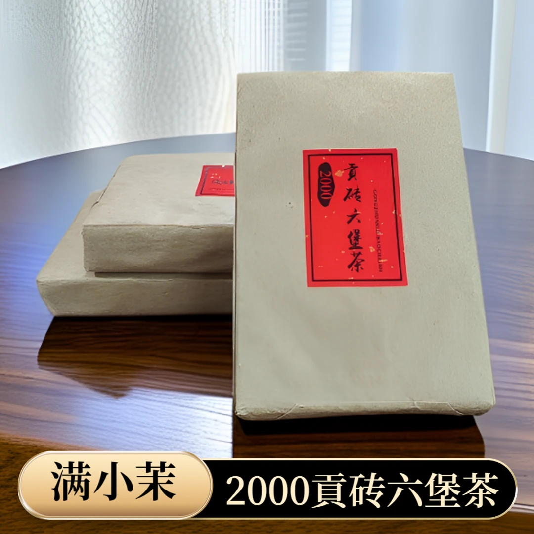 满小茉 2000貢砖六堡茶300克 广西梧州六堡茶