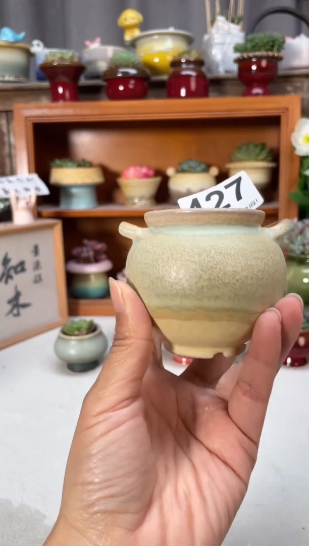 瓷片427知木小方花盆编号