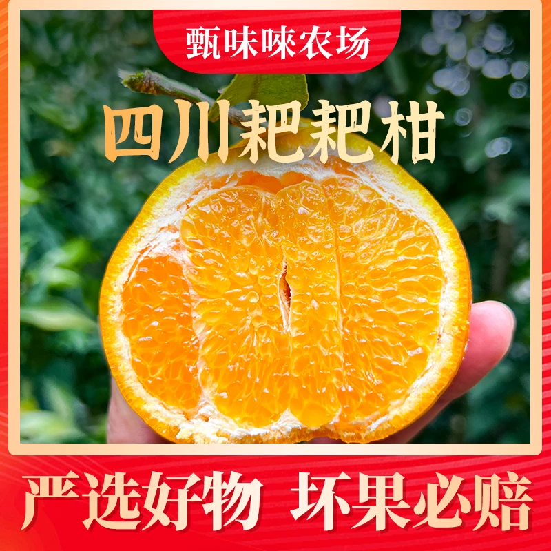 【甄味唻农场】四川耙耙柑4.5斤小果/中果/大果约5-16个T