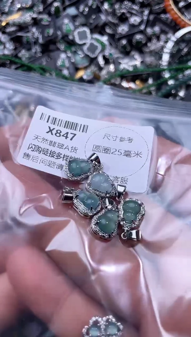 【闪购商品】翡翠颈饰未镶嵌X847多样性发其一
