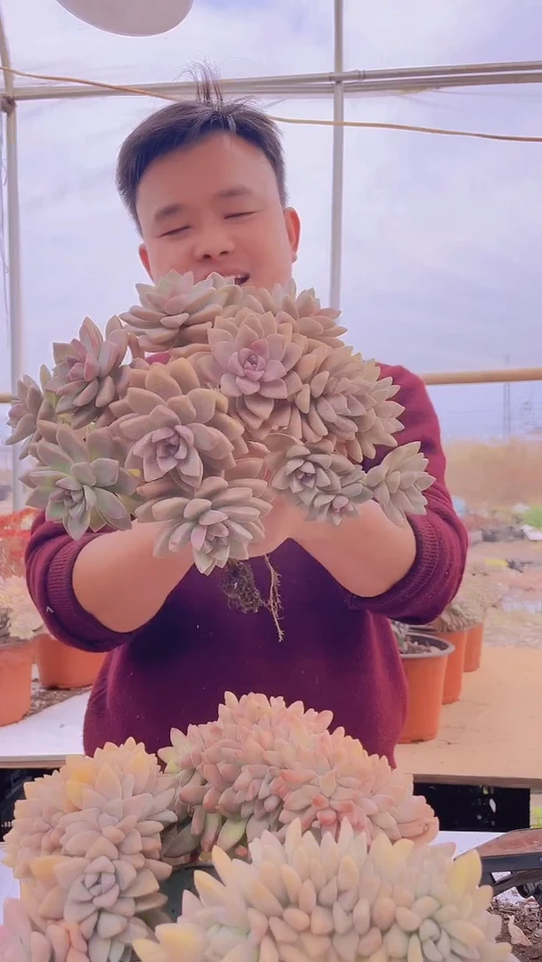 【闪购商品】缀化169