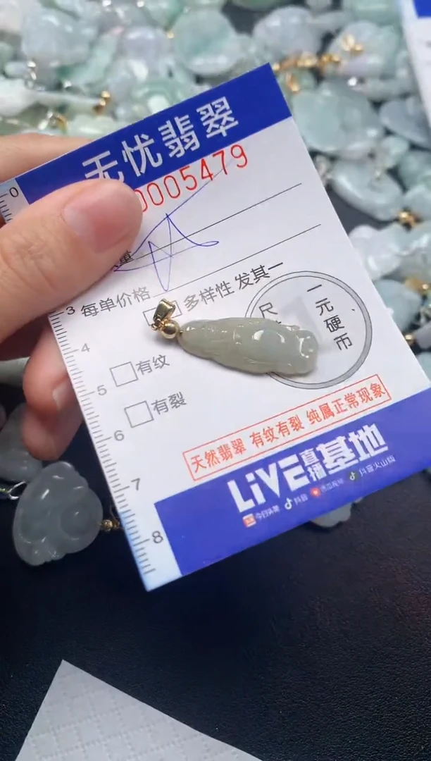 颈饰未镶嵌翡翠5479