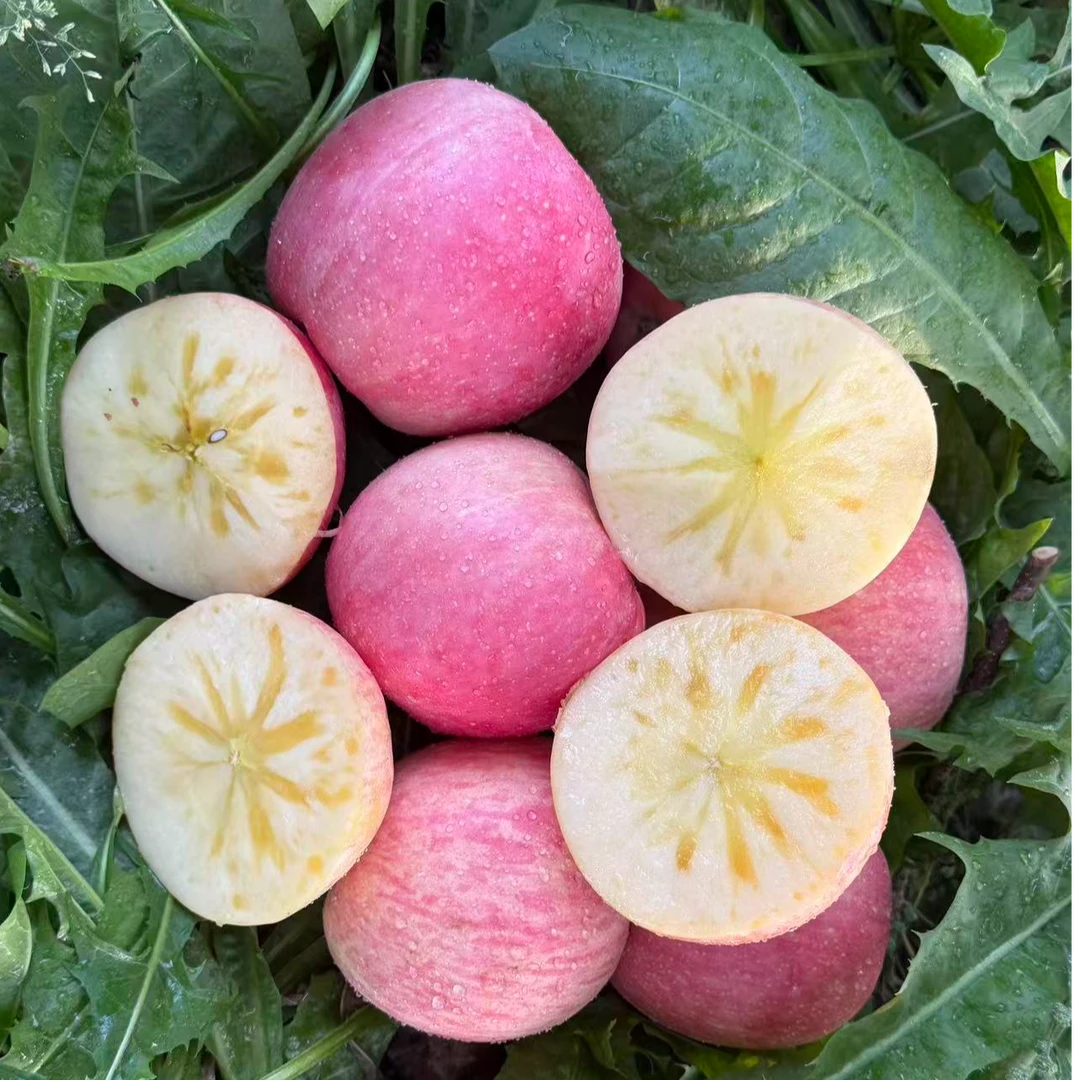 【鱼】新疆直发正宗阿克苏冰糖心脆甜多汁苹果包邮现摘现发