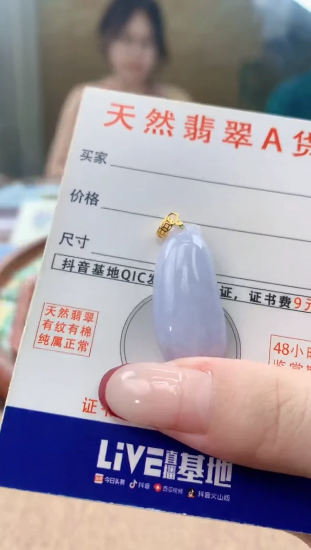 颈饰未镶嵌翡翠 天然A货翡翠挂件
