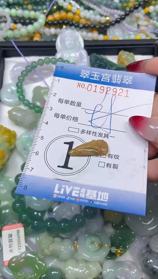 颈饰未镶嵌翡翠闪购0192921