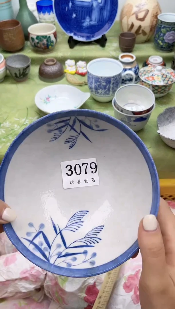 瓷片牙**芽           3079