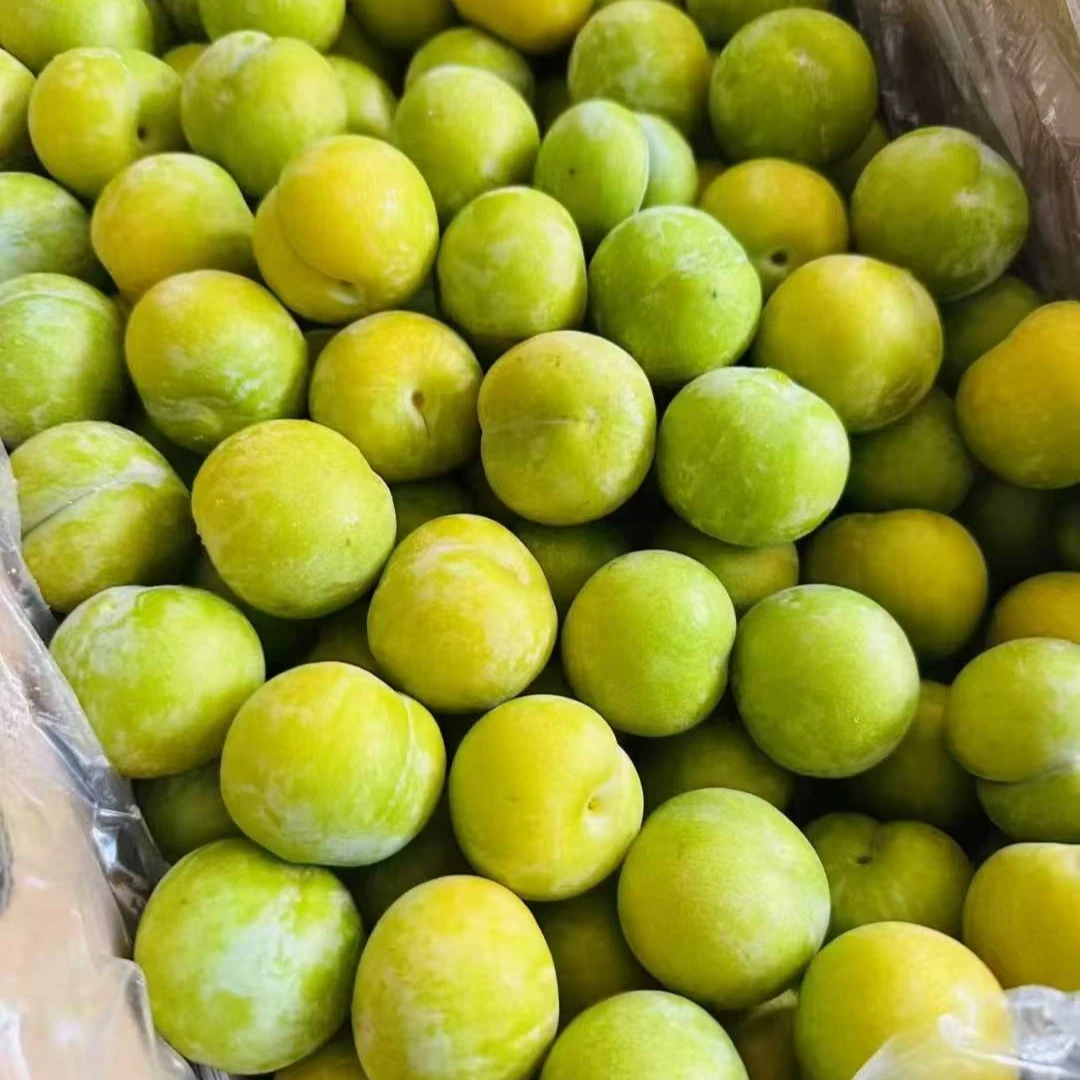 正宗贵州六马蜂糖李新鲜水果镇宁当季蜂蜜李子脱骨上海市