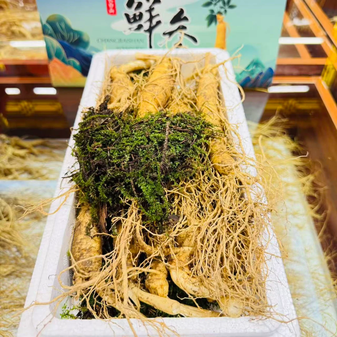 长白山大鲜人参【10支】【秋晨优选】