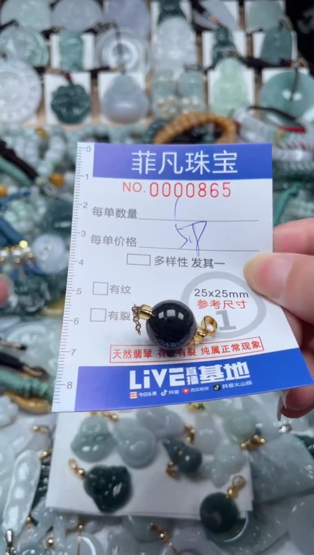 翡翠未镶嵌颈饰00..0865