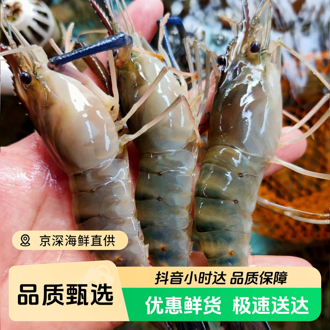 鲜活淡水罗氏虾 沼泽虾 500g/份