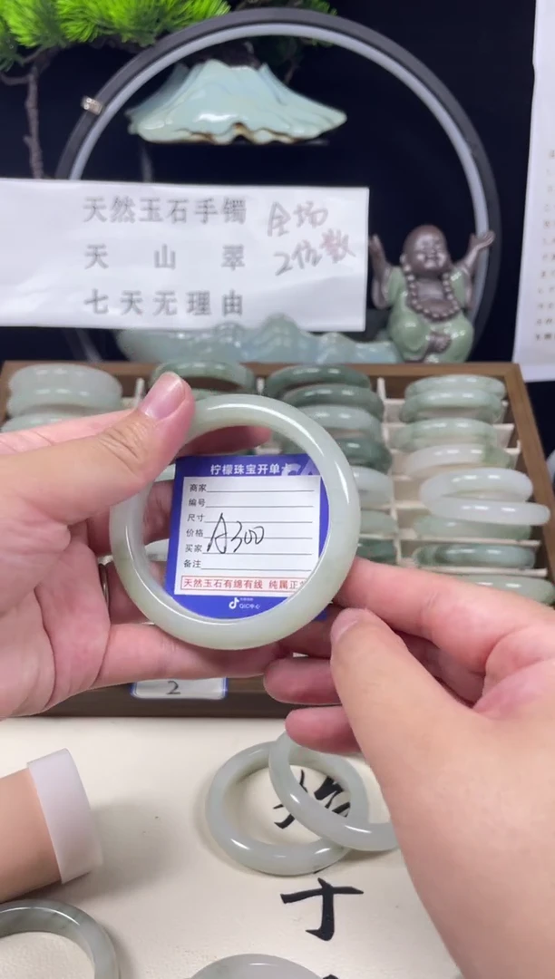 石英质玉（天山翠）手镯未镶嵌A300