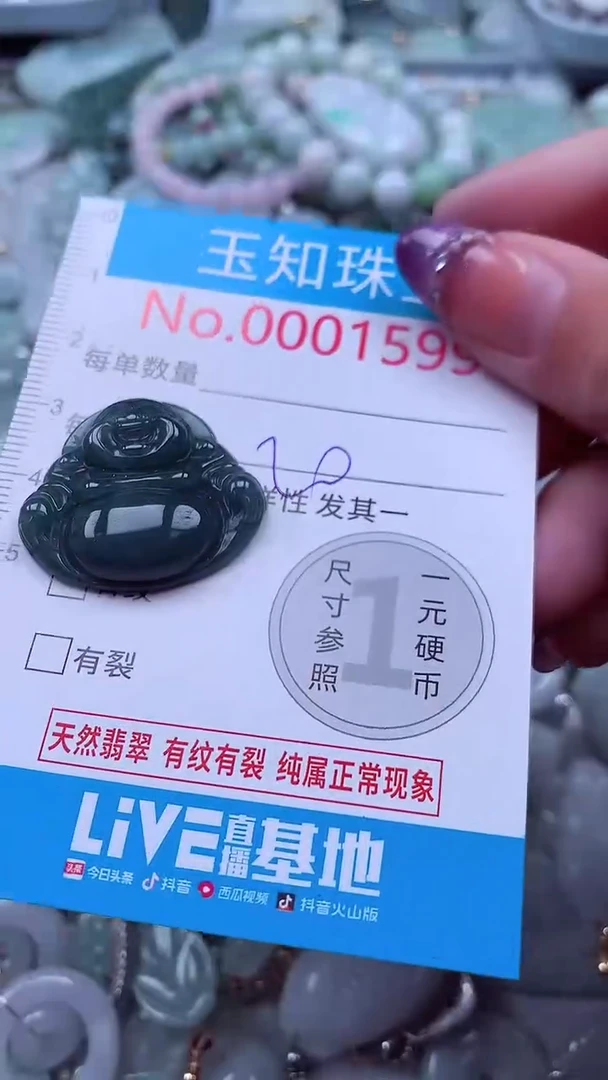 翡翠未镶嵌吊坠(不含链)1595