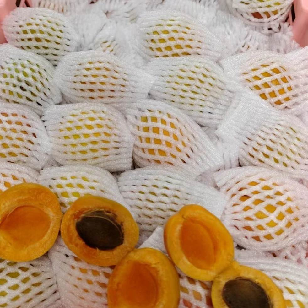 树熟新疆吊干杏精品大果新疆维吾尔自治区