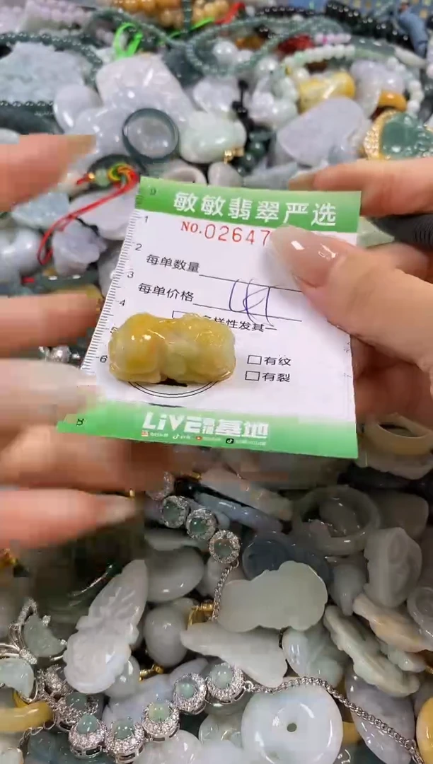 翡翠未镶嵌颈饰闪购0264778