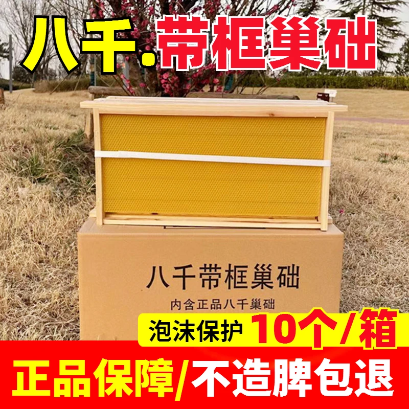 中蜂巢础巢框成品八千带框蜂巢意蜂巢脾蜜蜂巢基蜂箱专用工具养蜂