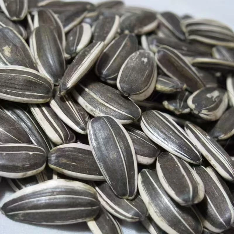 原味瓜子炒熟葵花子当季大粒原味瓜子干果炒货年货批发