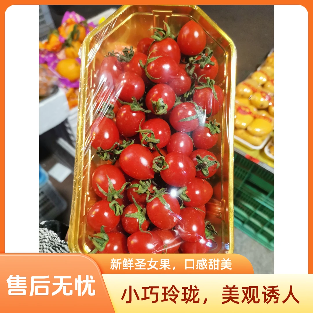 配送到家（玲珑小蕃茄）500克小番茄番茄同城配