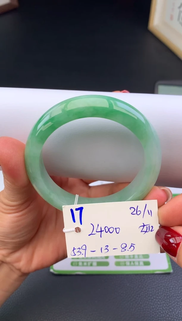 未镶嵌手镯翡翠假一赔三   手镯
