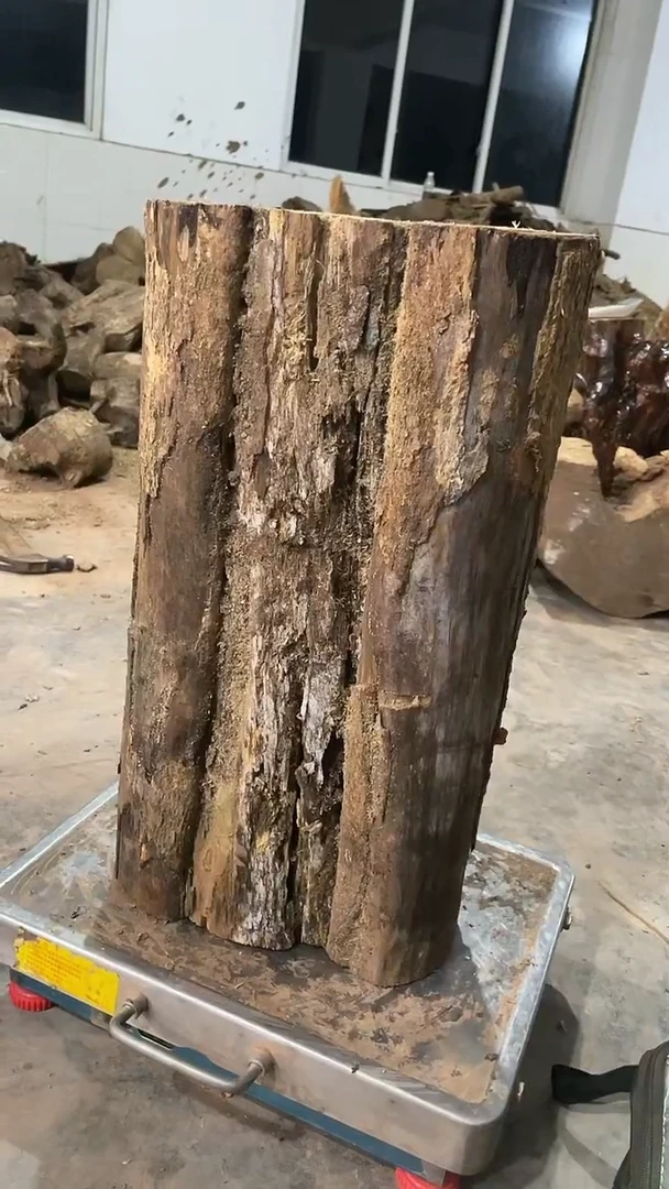 金丝楠青*阿祥金丝楠木定向链接