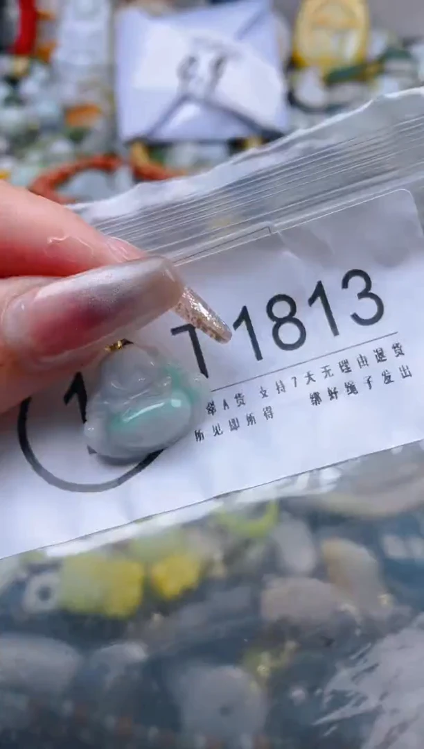 【闪购商品】翡翠颈饰未镶嵌/T/翡翠A货一图一物