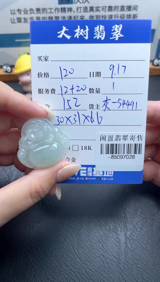 颈饰未镶嵌翡翠多人-85097028