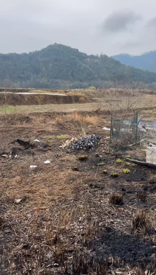 【闪购商品】茶盏叶礼旺高端收藏166