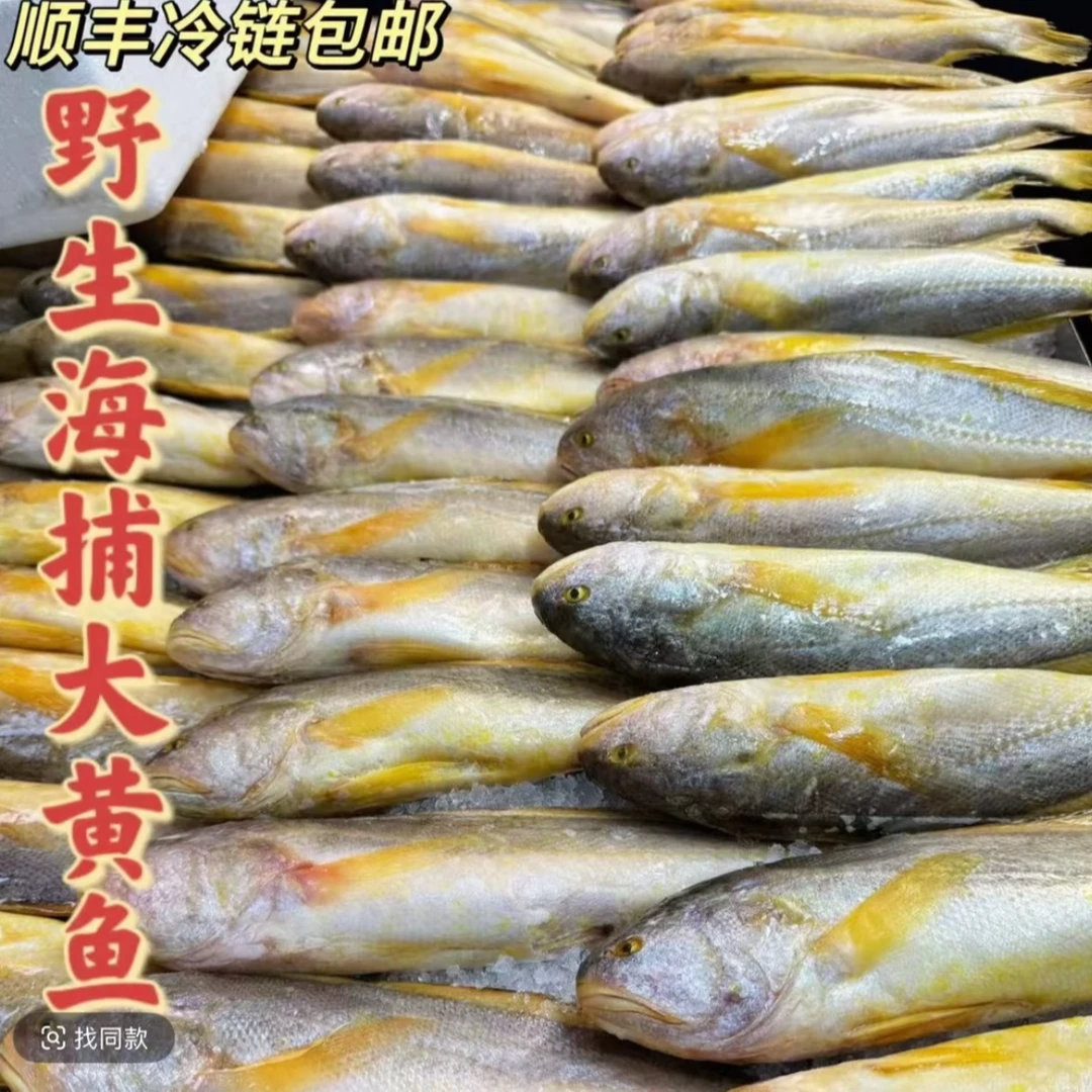 野生海捕黄鱼 一斤左右/条新鲜生鲜 深海黄鱼五条