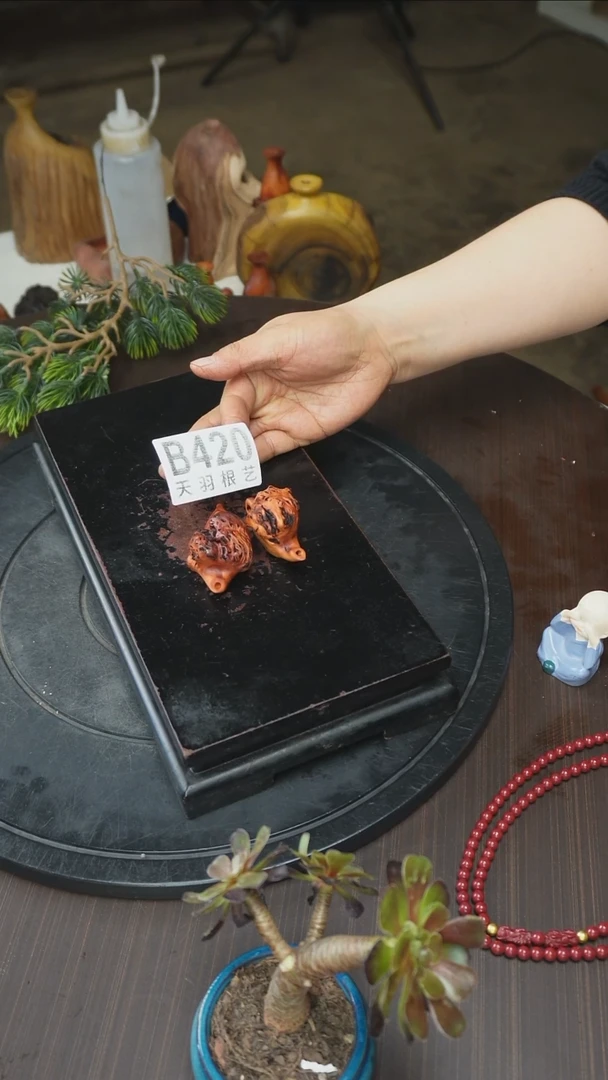 【闪购商品】木木艺云南黑果木花瓶