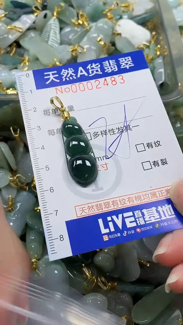 颈饰未镶嵌翡翠纯天然a货翡翠