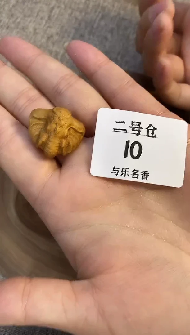 檀香木其他C****12号仓老山檀大象