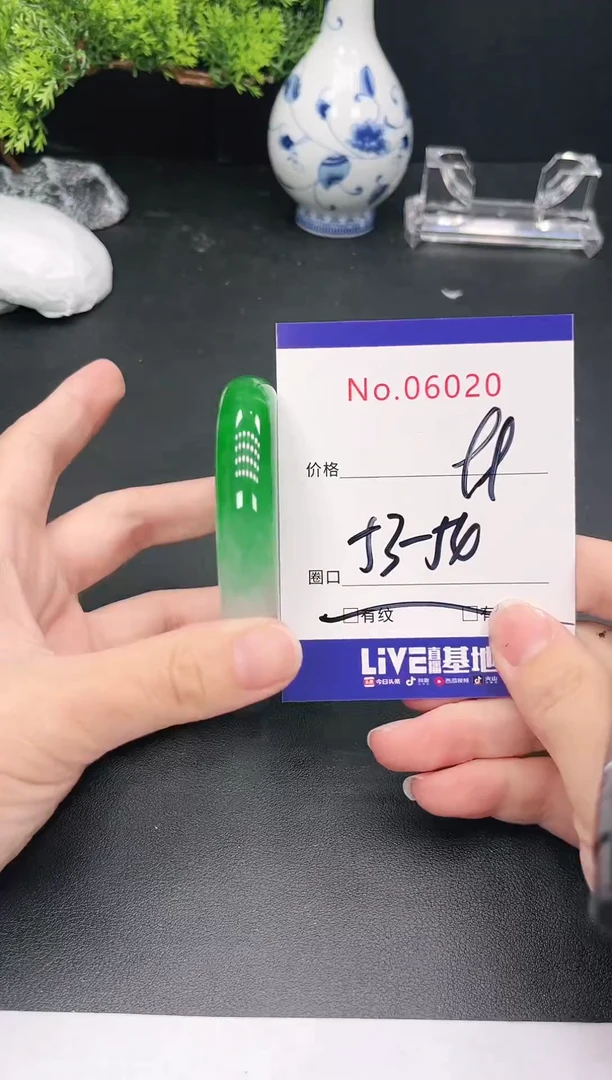 未镶嵌手镯翡翠6020
