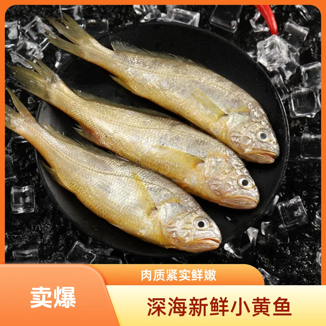 新鲜冷冻海捕鲜活小黄鱼3条装